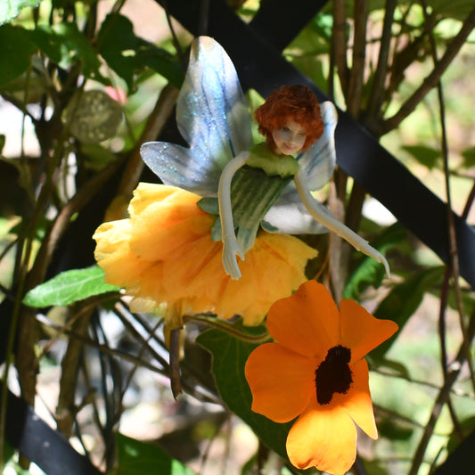 Fae Folk® Fairies - MERRIGOLD
