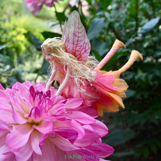 Fae Folk® Fairies - RADIANCE