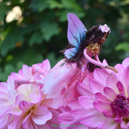 Fae Folk® Fairies - AZIZA