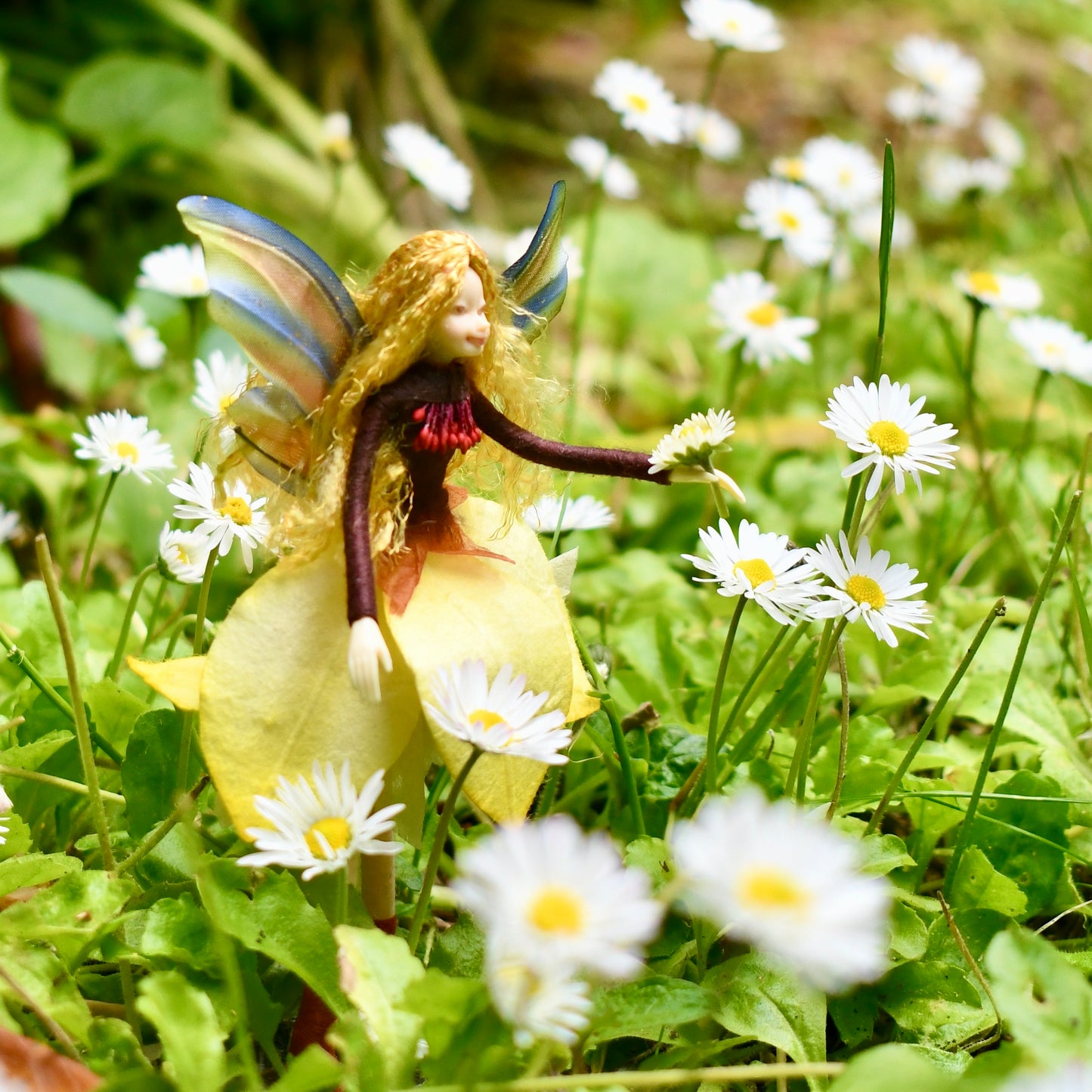 Fae Folk® Fairies - SUNNY