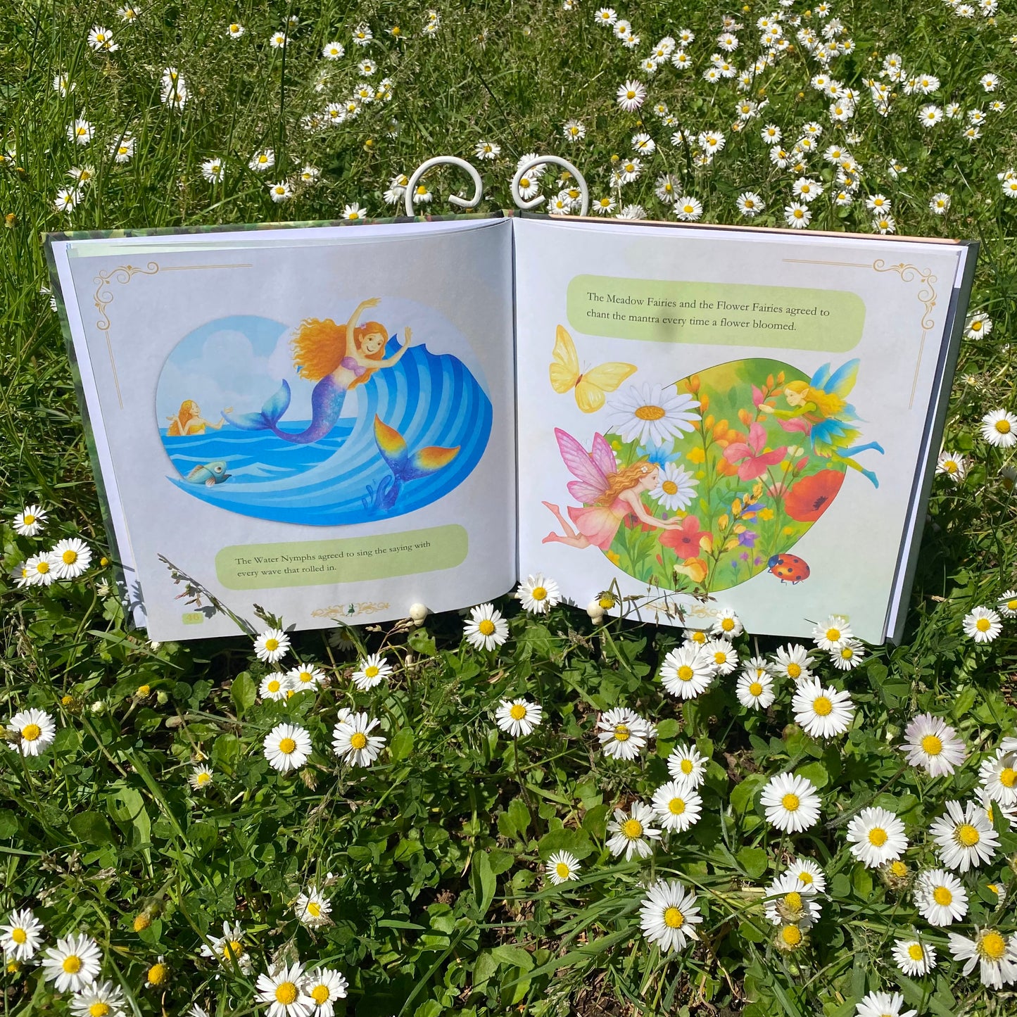 Find the Beauty HARDCOVER Book