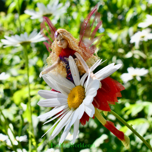 Fae Folk® Fairies - SCARLETTE