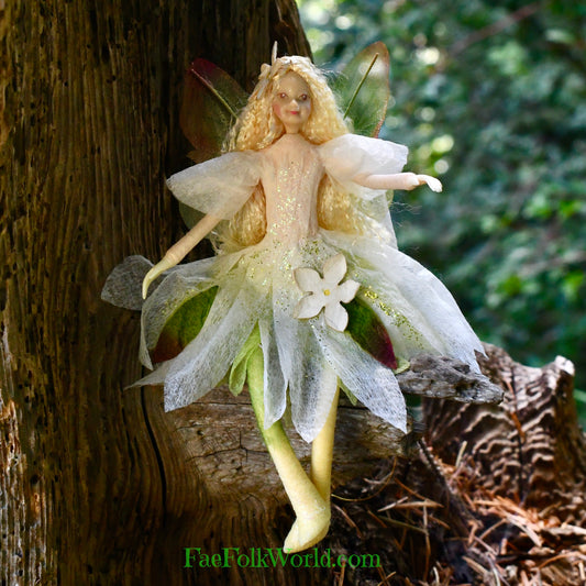 Fae Folk® Fairies - FREESIA
