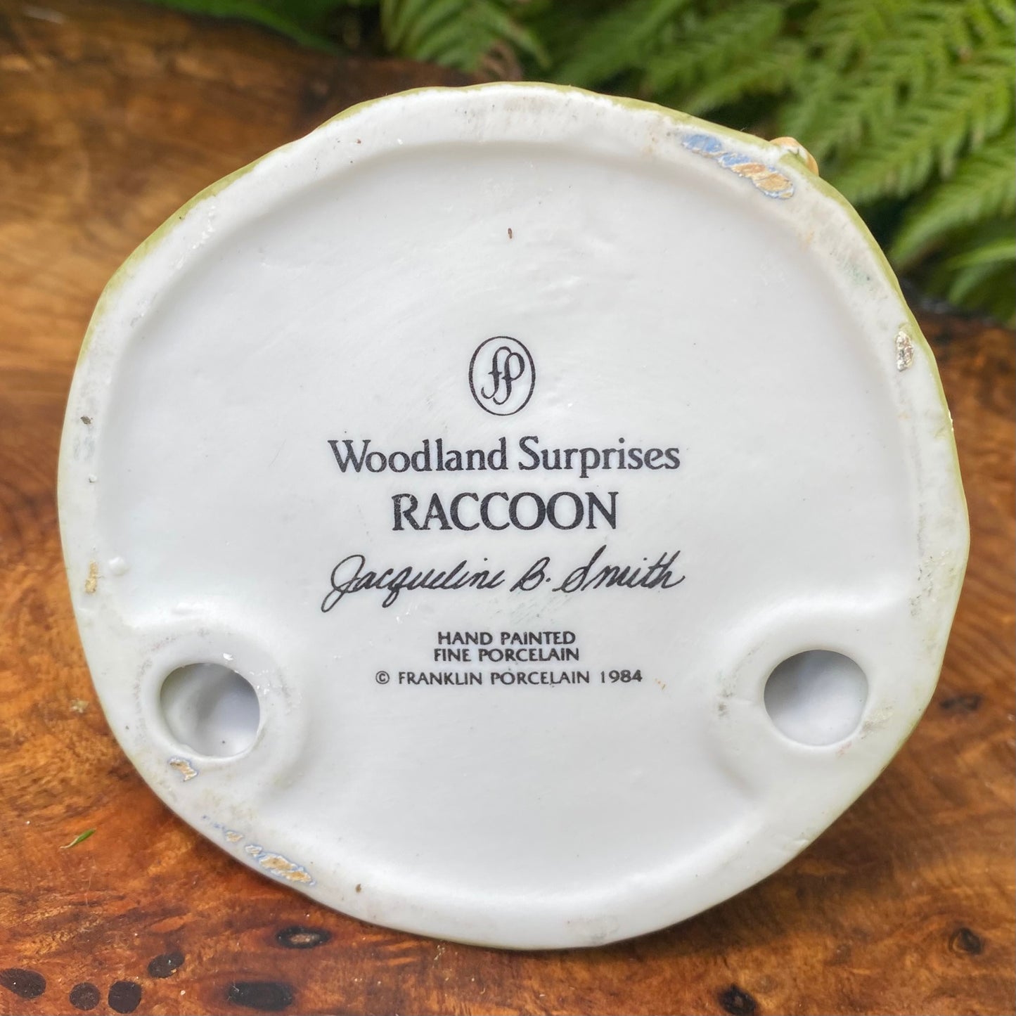 Woodland Surpises Raccoon