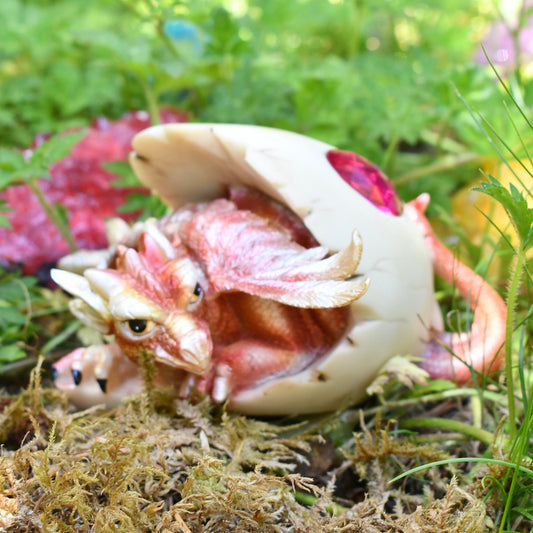 Dragon Hatchling - Pink