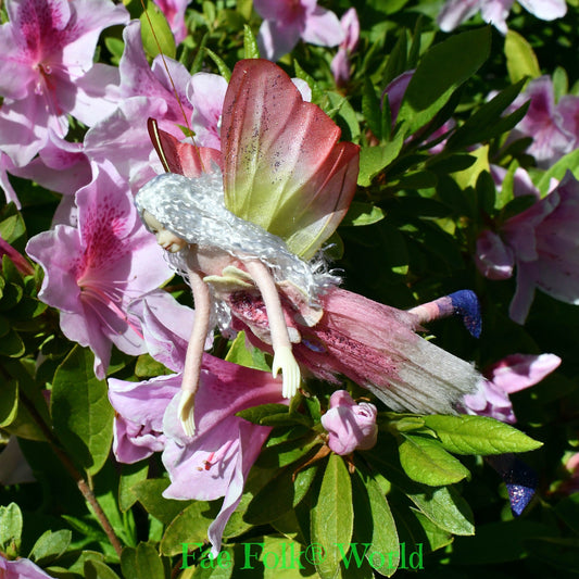 Fae Folk® Fairies - FLITTER