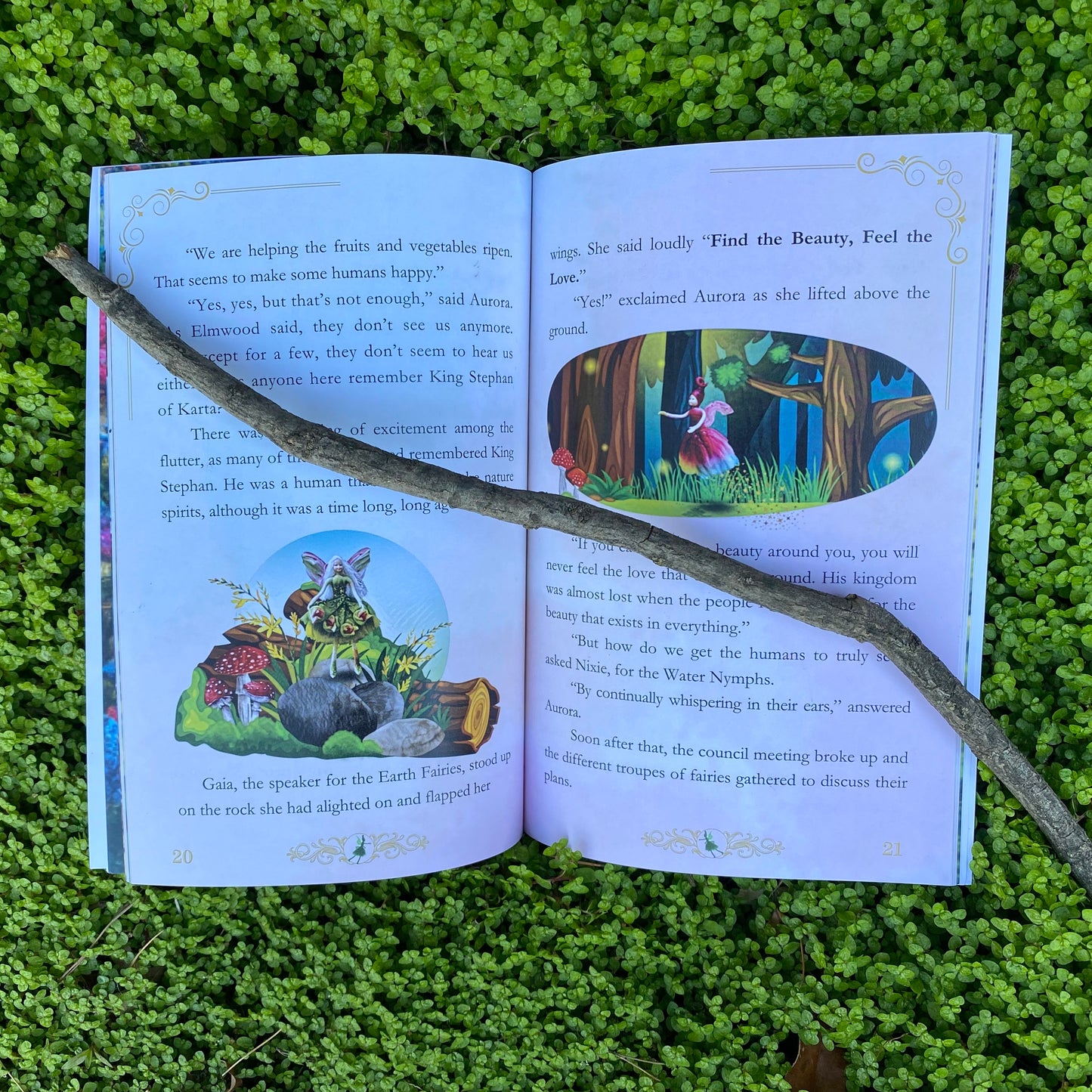 Fairy Tales  Book - Find the Beauty