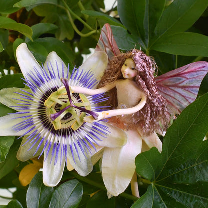 Fae Folk® Fairies - DIANTHA