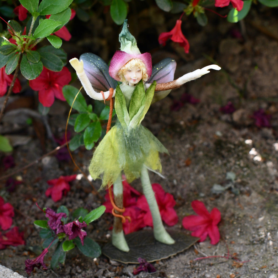 Fae Folk® Fairies - HOPPER