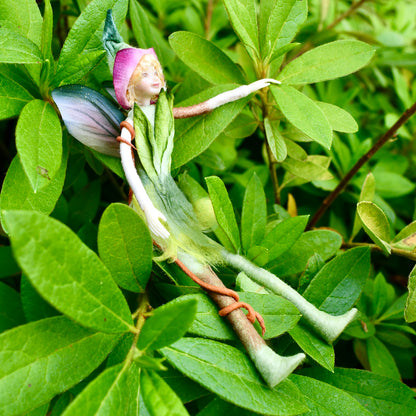 Fae Folk® Fairies - HOPPER