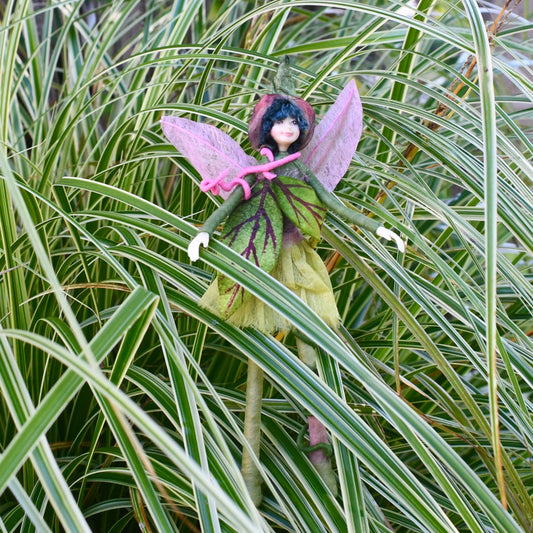 Fae Folk® Fairies - KIWI