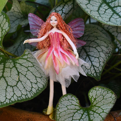 Fae Folk® Fairies - CEREUS