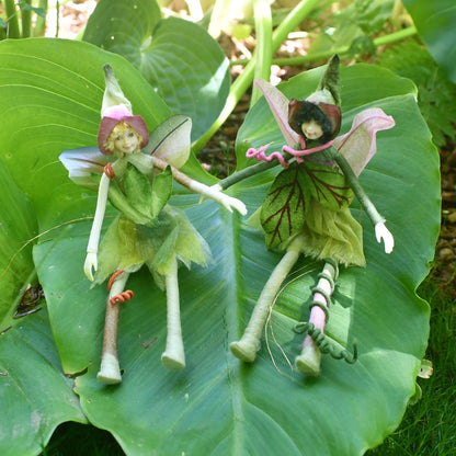 Fae Folk® Fairies - KIWI