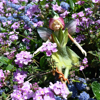 Fae Folk® Fairies - HOPPER