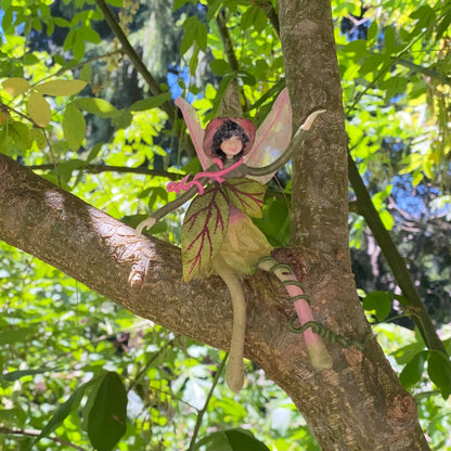 Fae Folk® Fairies - KIWI