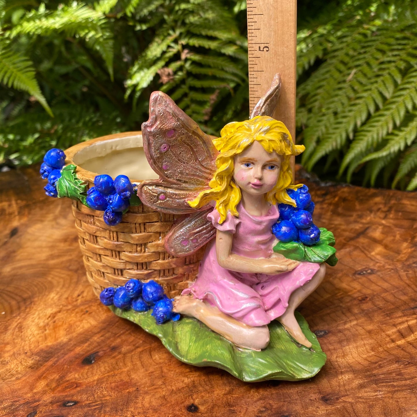 Blueberry Fairy Planter