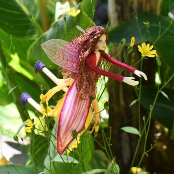 Fae Folk® Fairies - ZURI