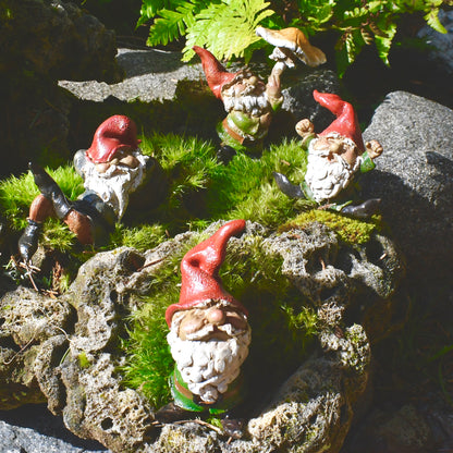 Mini Garden Gnome with Hands Behind Back