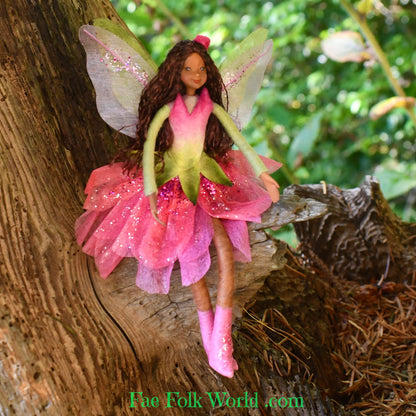 Fae Folk® Fairies - DONELLA