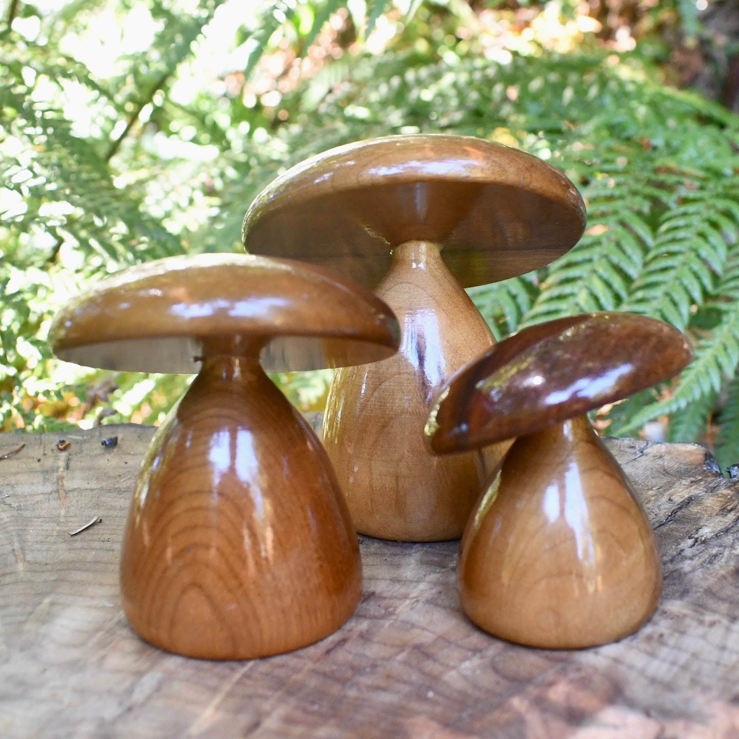 Myrtlewood Trio of Mushrooms