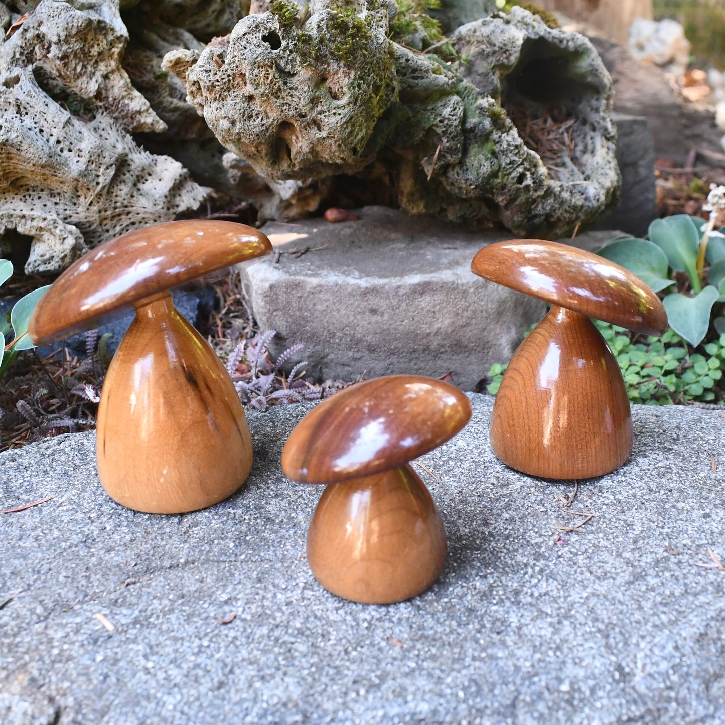 Myrtlewood Trio of Mushrooms