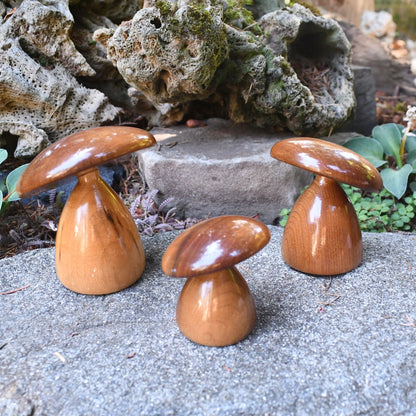 Myrtlewood Trio of Mushrooms