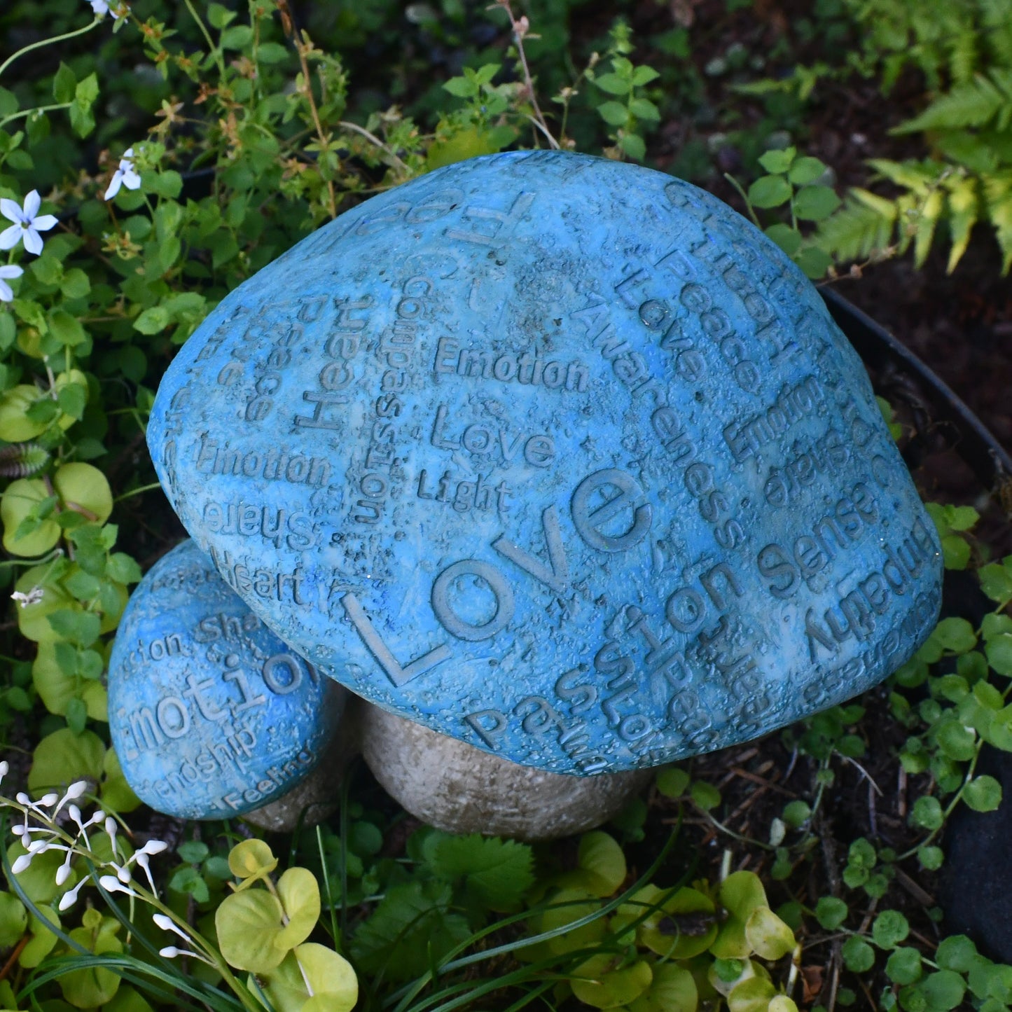 Fairy Garden Wise Words Mushrooms