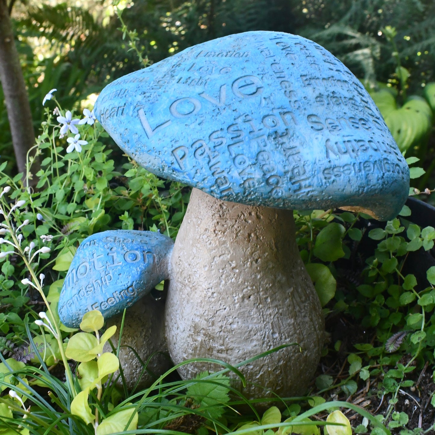 Fairy Garden Wise Words Mushrooms
