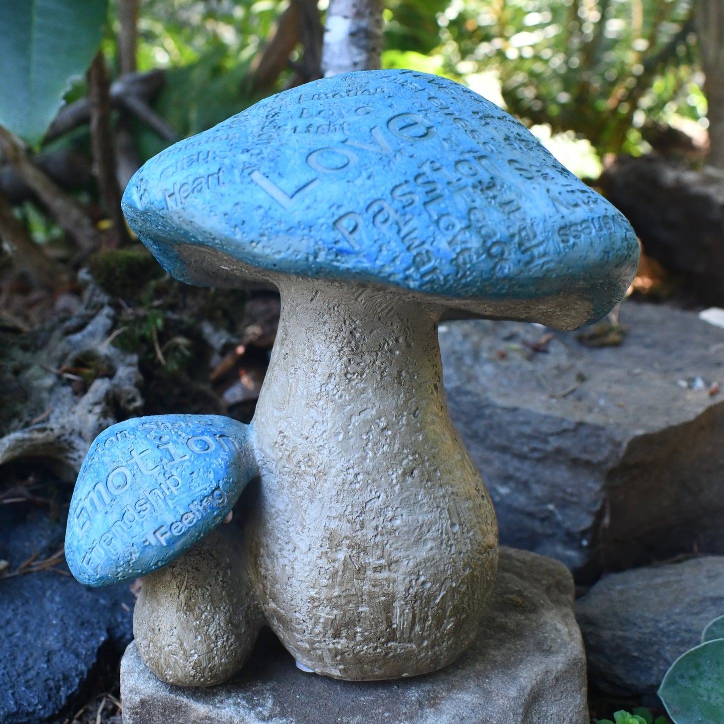 Fairy Garden Wise Words Mushrooms