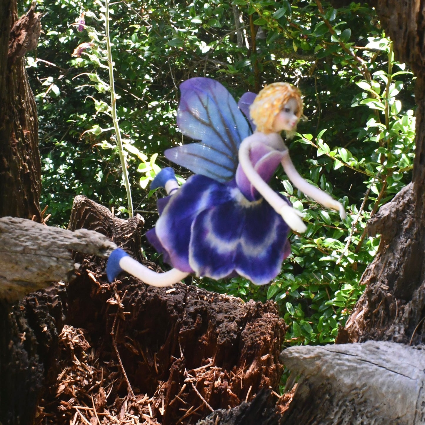 Fae Folk® Fairies - SPIDERWICK