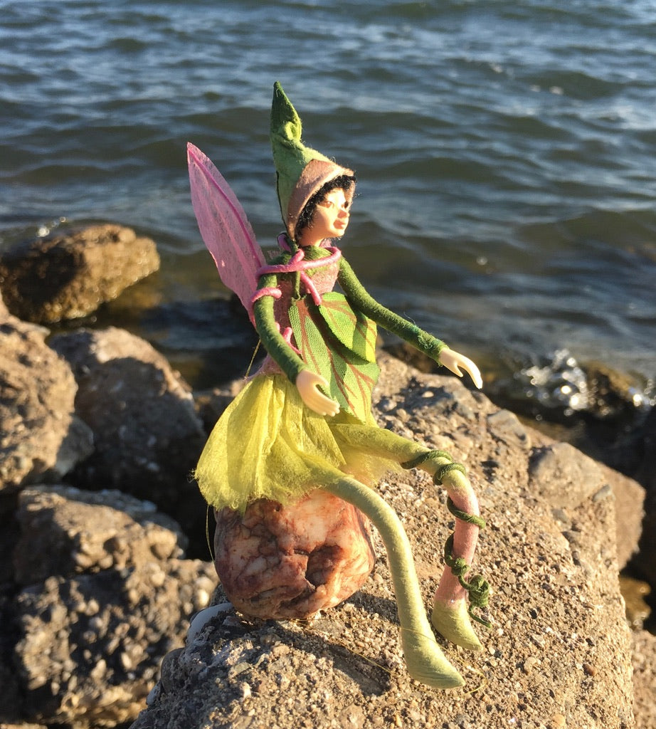 Fae Folk® Fairies - KIWI