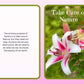Fairy Lessons Book - How to Live Like a Fairy