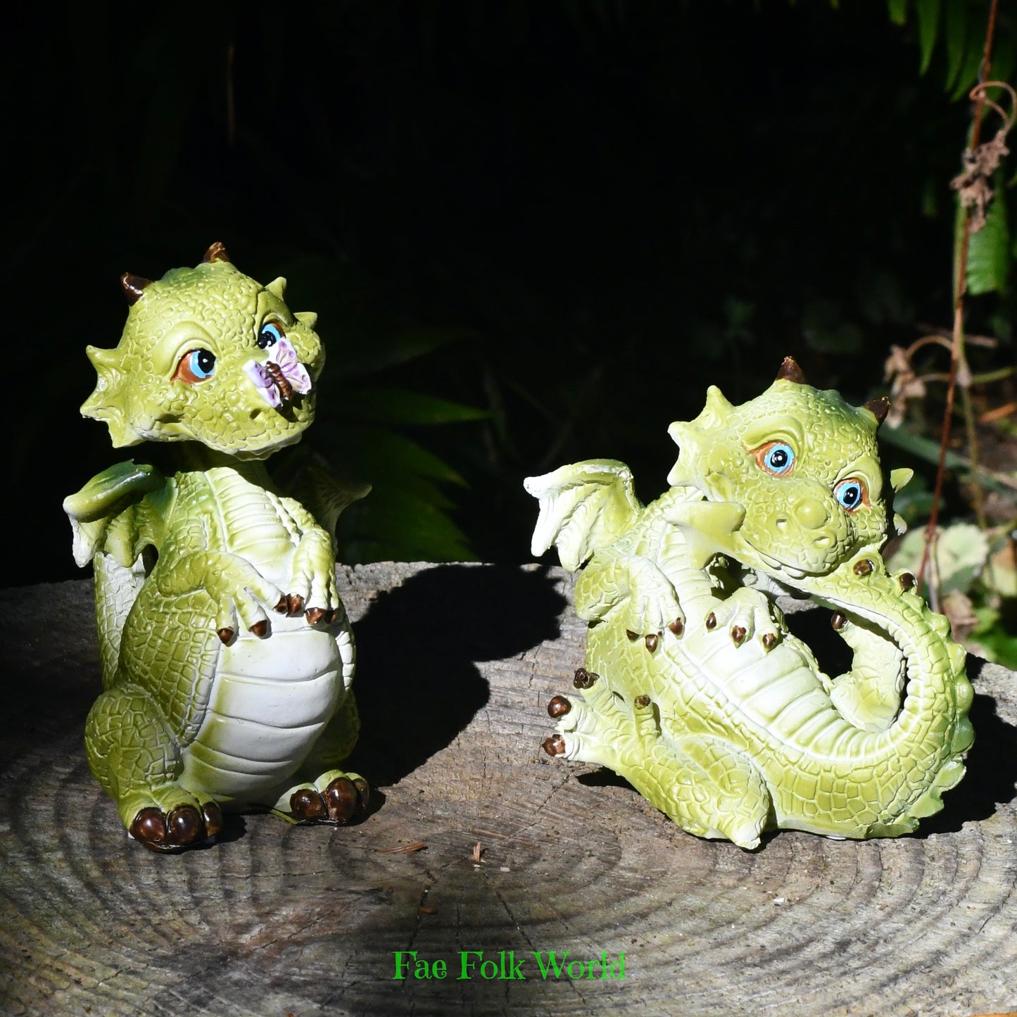 Playful Pair of Mini Dragons