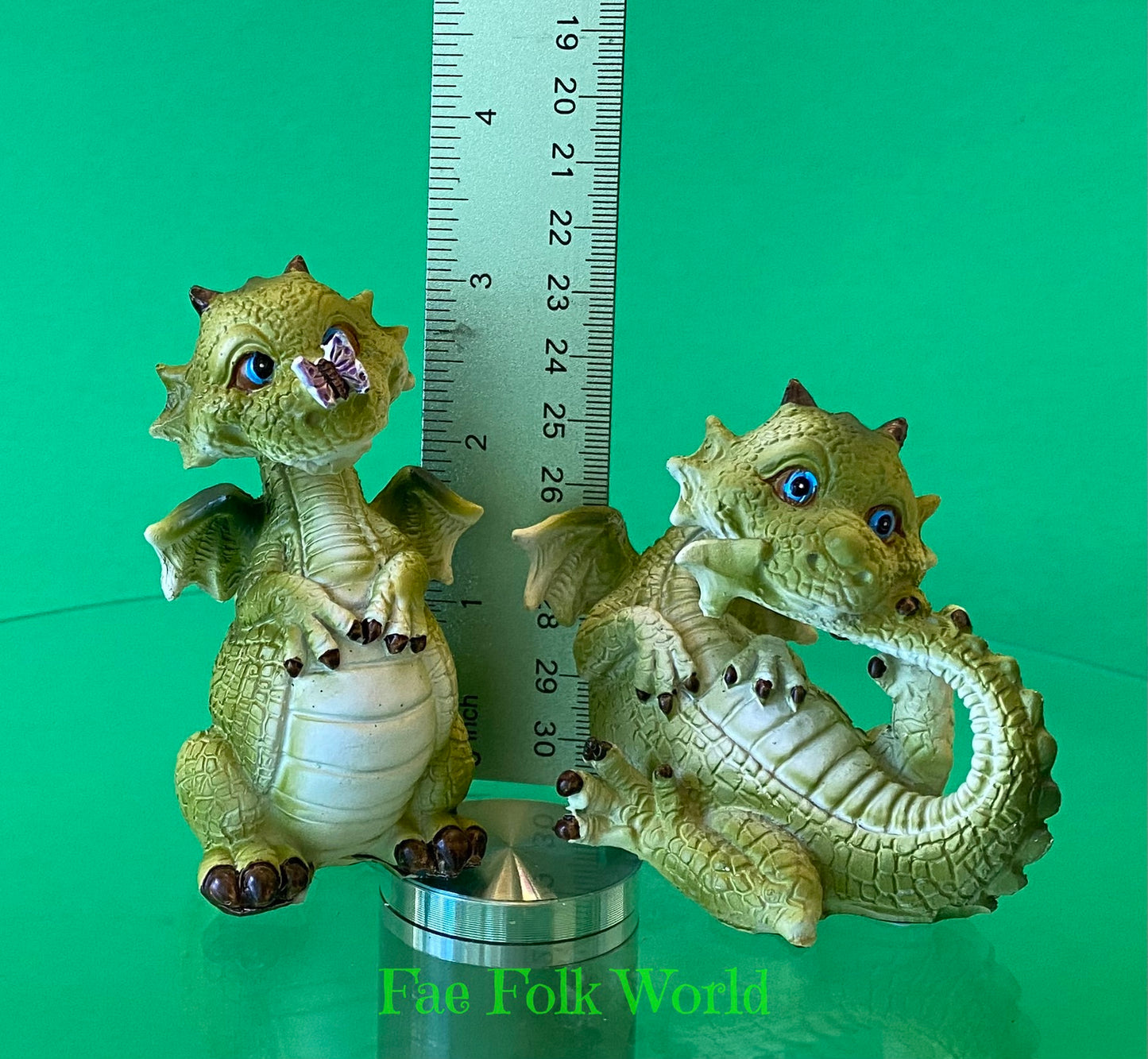 Playful Pair of Mini Dragons