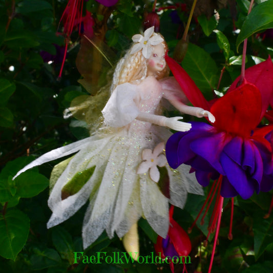 Fae Folk® Fairies - FREESIA