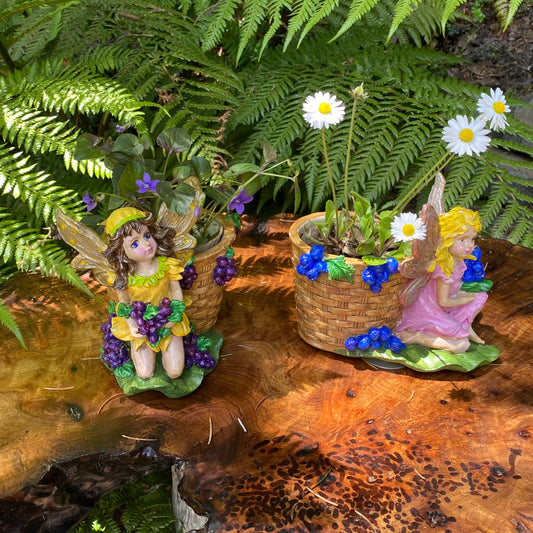 Grape Fairy Planter