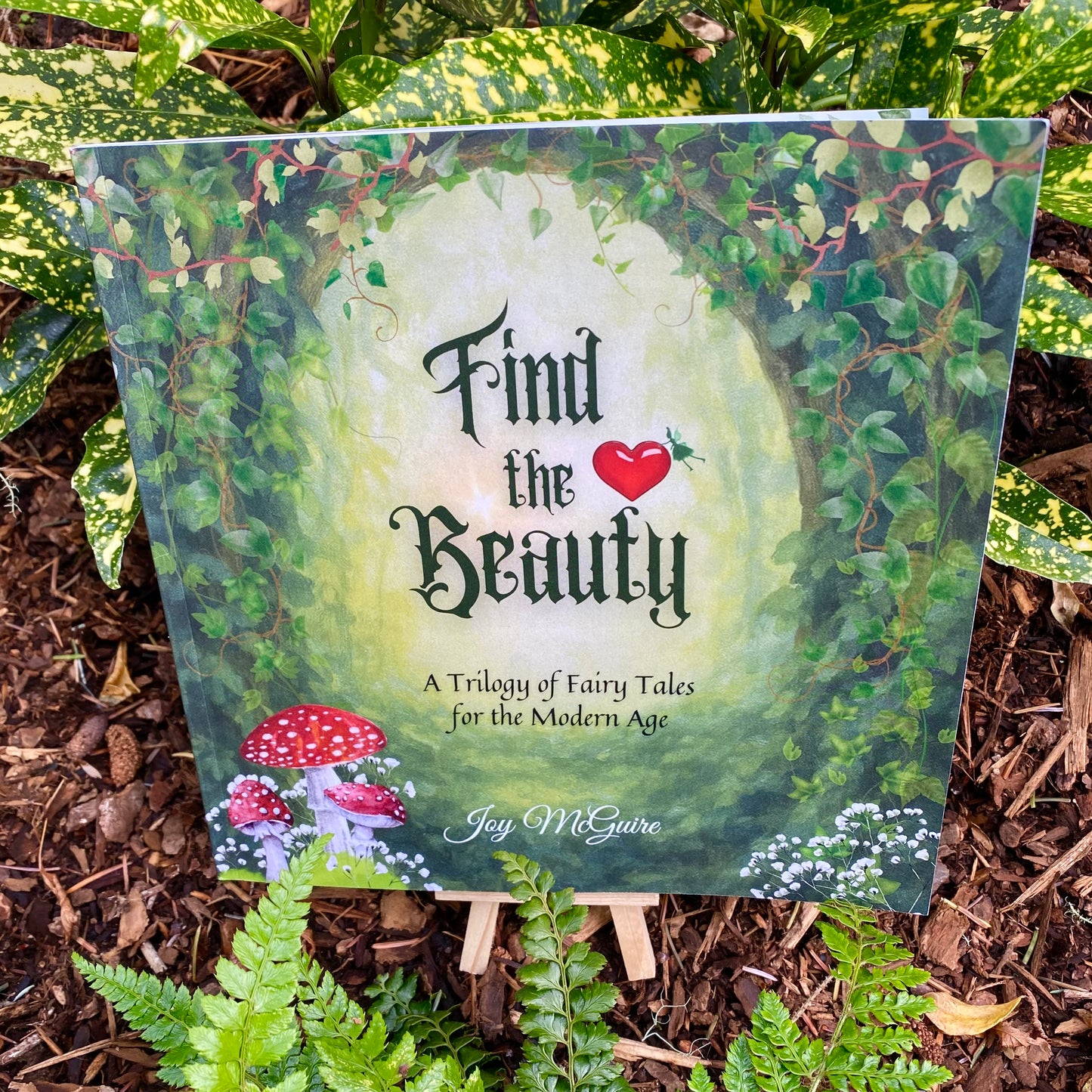 Fairy Tales  Book - Find the Beauty
