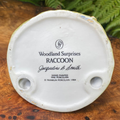 Woodland Surpises Raccoon