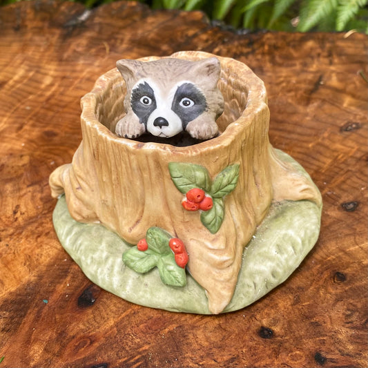 Woodland Surpises Raccoon