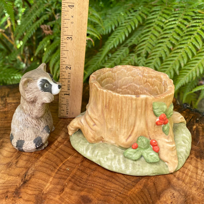Woodland Surpises Raccoon