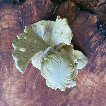 Lilypad Cherub Fairy - Eager