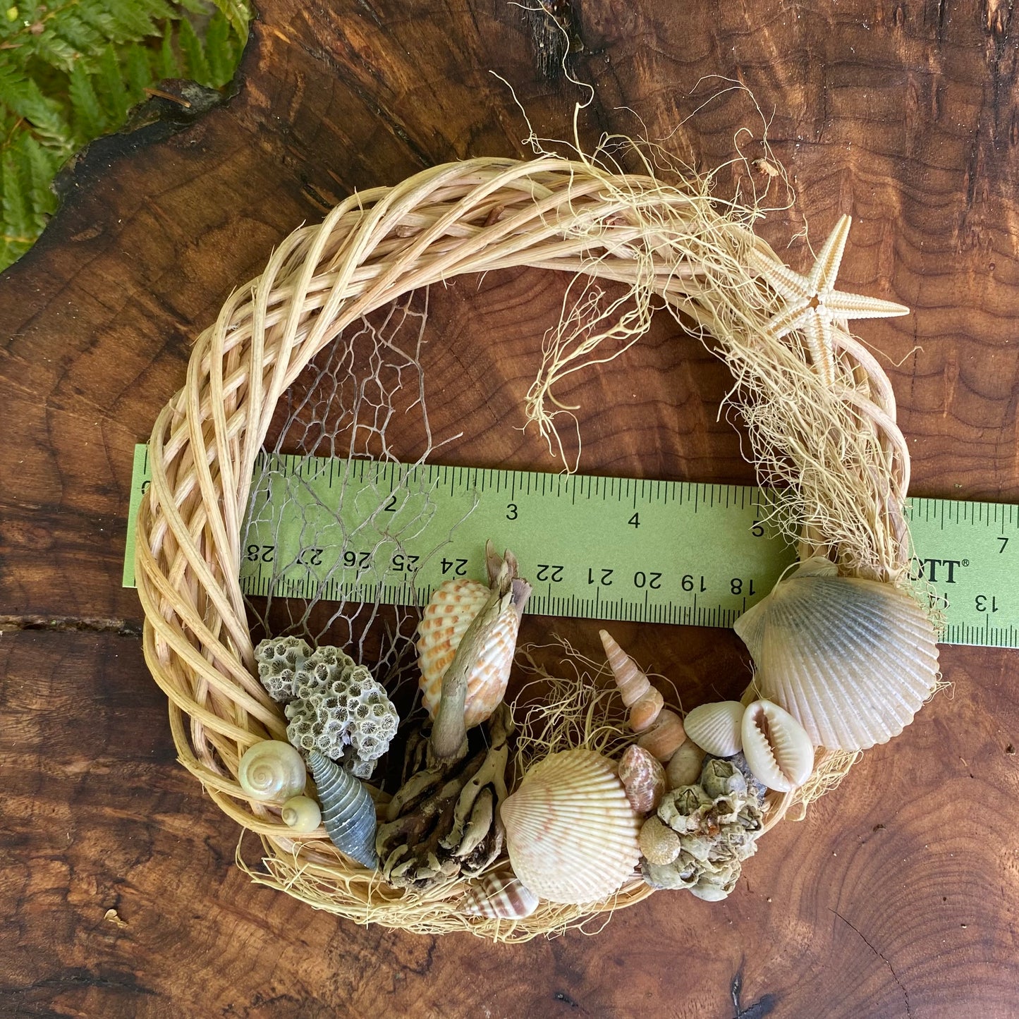 Handcrafted Coastal Seashell Wreath