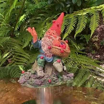 Gnome with Ladybugs