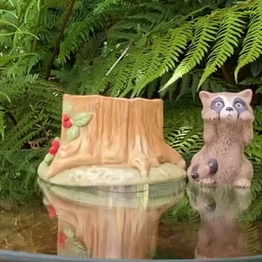 Woodland Surpises Raccoon