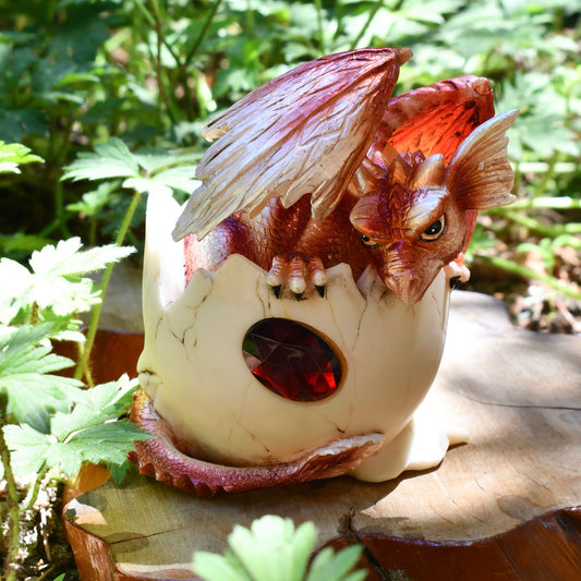 Dragon Hatchling - Red