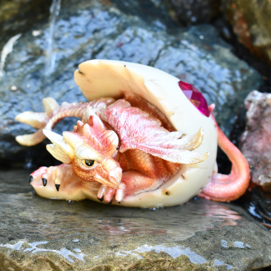 Dragon Hatchling - Pink