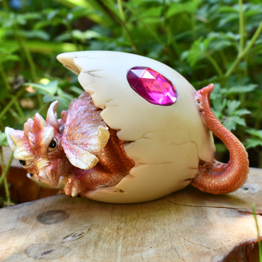 Dragon Hatchling - Pink