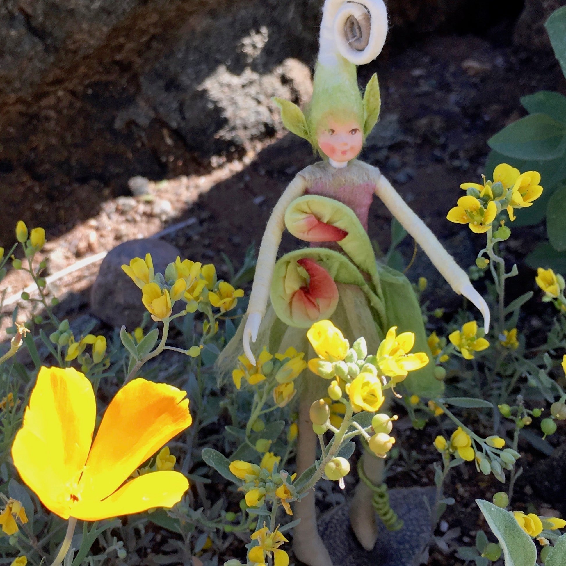 Fae Folk World Elf Fairy Cricket