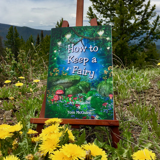 Fae Folk World Book Cover How to Keep a Fairy