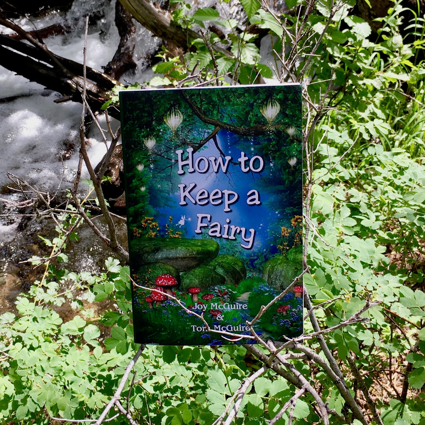 Fae Folk World Book Cover How to Keep a Fairy